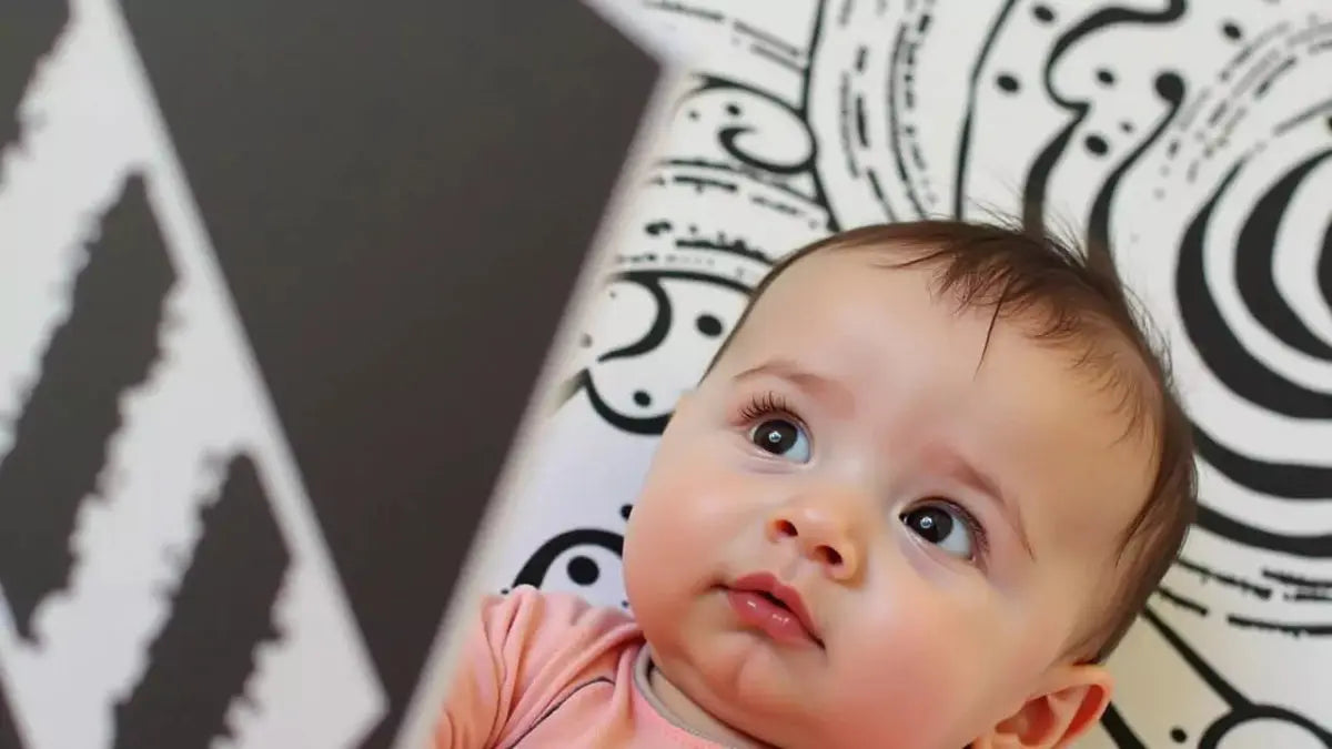 DIIOOMIEEU Carte visuelle pour bébé - Noir et blanc - Contraste élevé - Pour nouveau-né DIIOOMIEEU Carte visuelle pour bébé - Noir et blanc - Contraste élevé - Pour nouveau-né