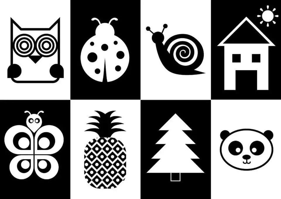 Images en Noir et Blanc pour Bébé – Éveil Visuel et Méthode Montessori