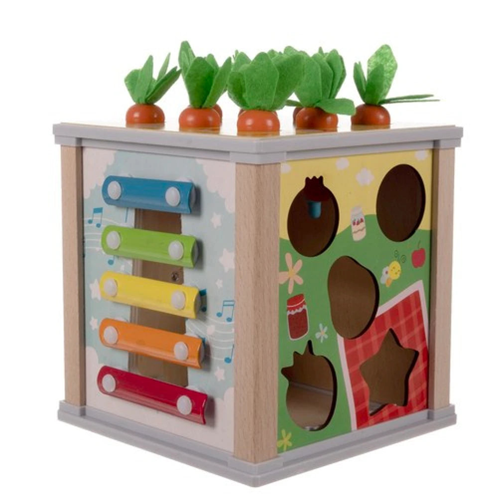 Boîte à formes Montessori en bois – cube 5 activités