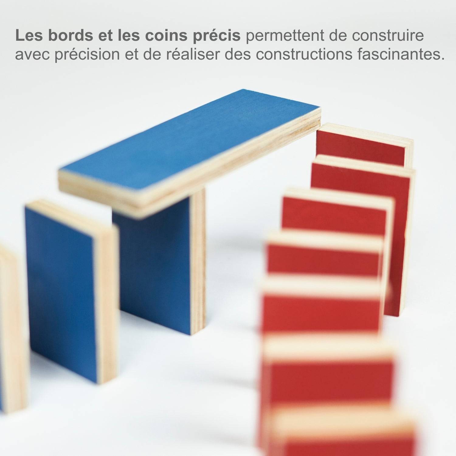 Barillet de 500 Dominos - Mon Jouet Montessori