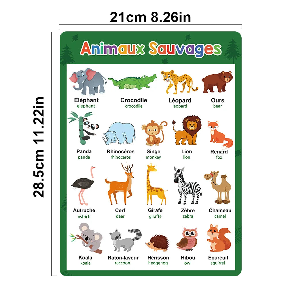 Affiches bilingues français-anglais enfant – photo 2