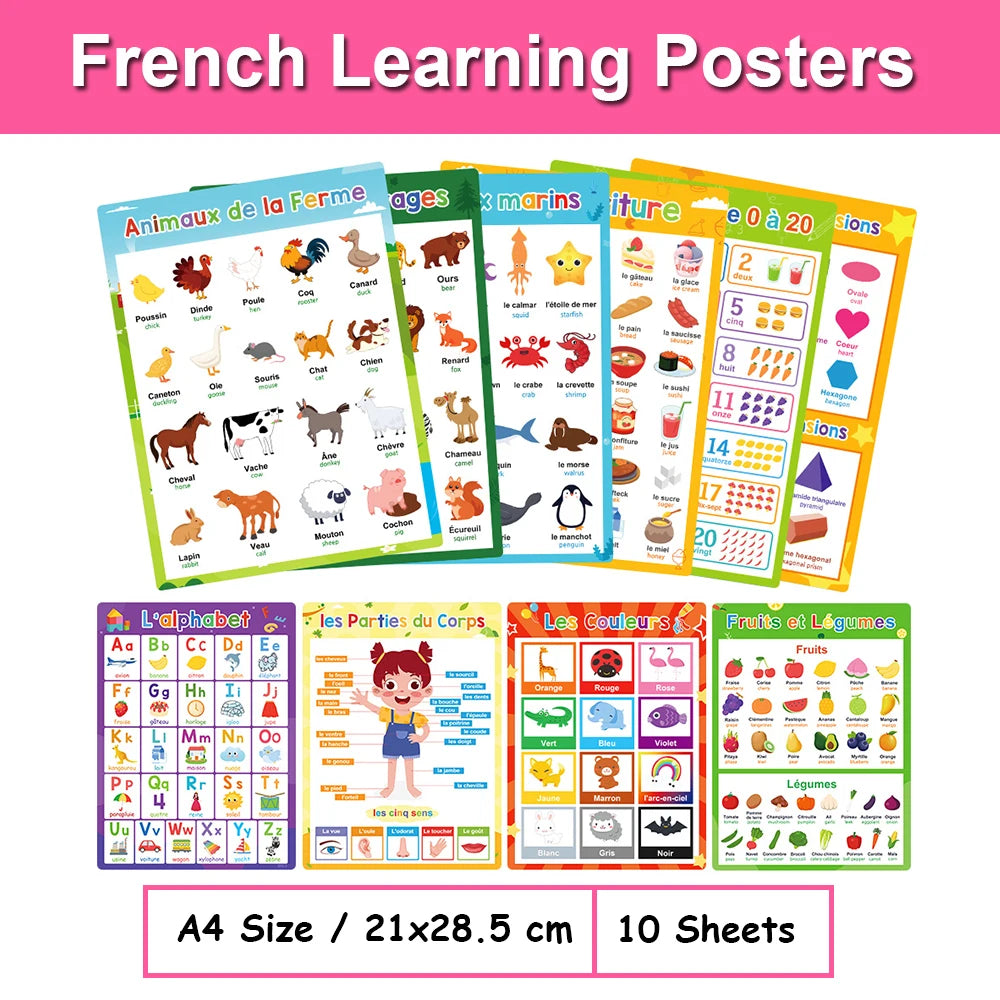 Affiches bilingues français-anglais enfant
