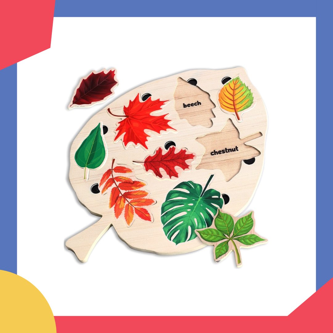 Puzzle en Bois d'Apprentissage des Feuilles Montessori - Mon Jouet Montessori